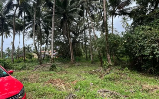 300 Sq.m Settlement Plot in Giri