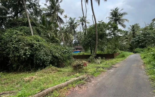 300 Sq.m Settlement Plot in Giri