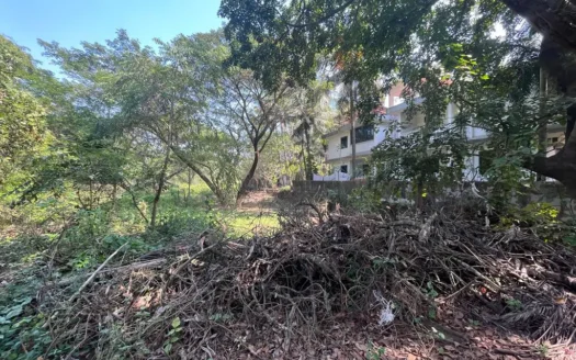 Plot for Sale in Benaulim