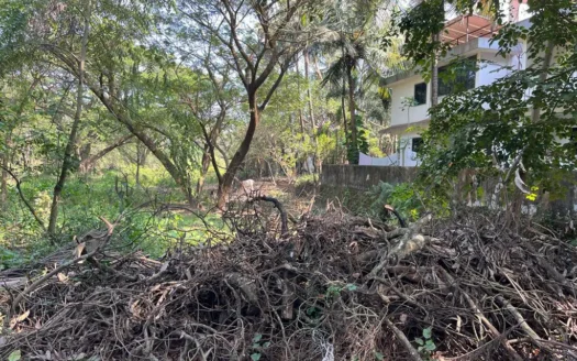 Plot for Sale in Benaulim