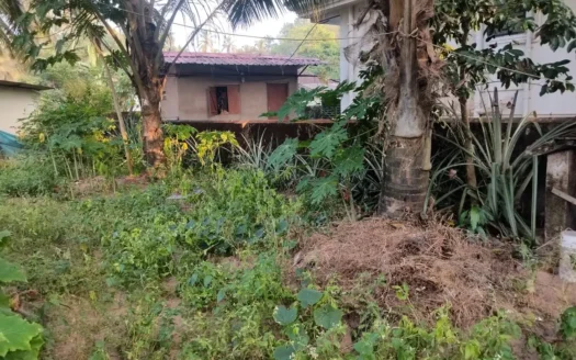 481sqm settlement plot in uttorda