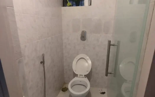 1bhk furnished flat for sale in Pedda, Benaulim