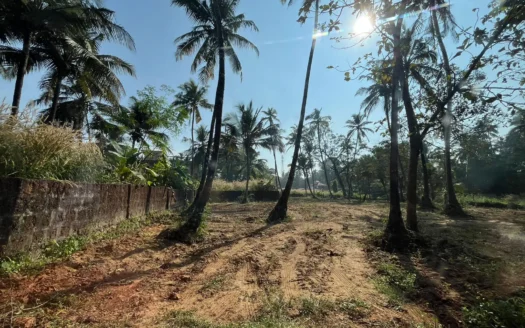 2475 sqmtrs plot with sanad for sale at colva