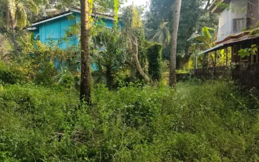 478sqm NA plot in Dramapur, Navelim