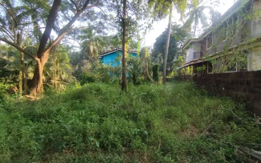 478sqm NA plot in Dramapur, Navelim