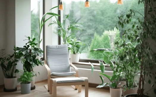 Sustainable and Eco-Friendly Living