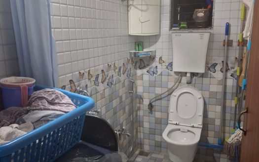 1 BHK Fully Furnished Apartment for Sale in Fatorda